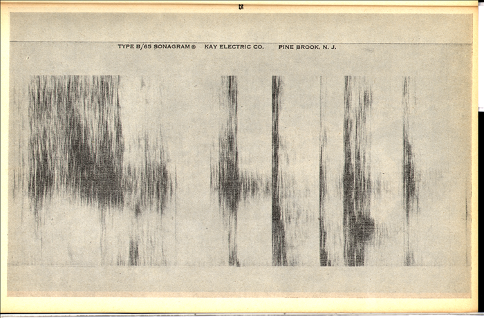 Torna alla pagina precedente